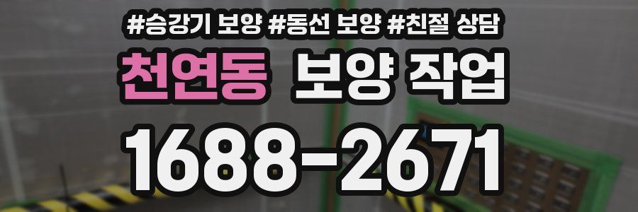 천연동 보양 작업