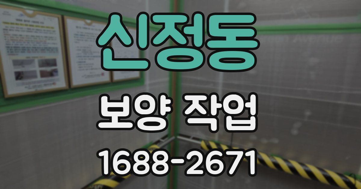 신정동 보양 작업