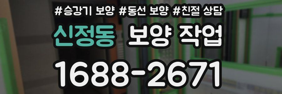 신정동 보양 작업