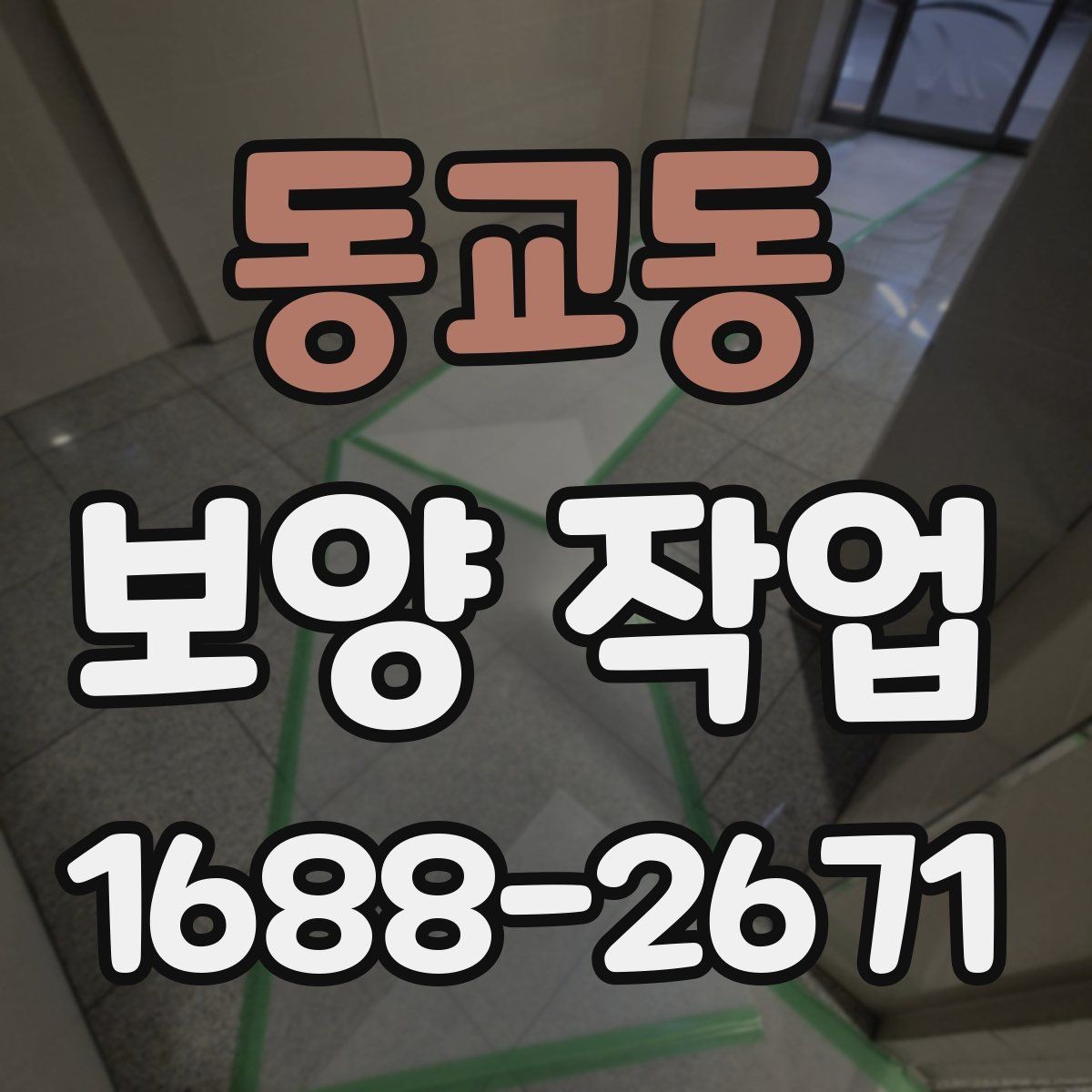 동교동 보양 작업 진행 방식과 주의사항