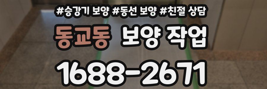 동교동 보양 작업