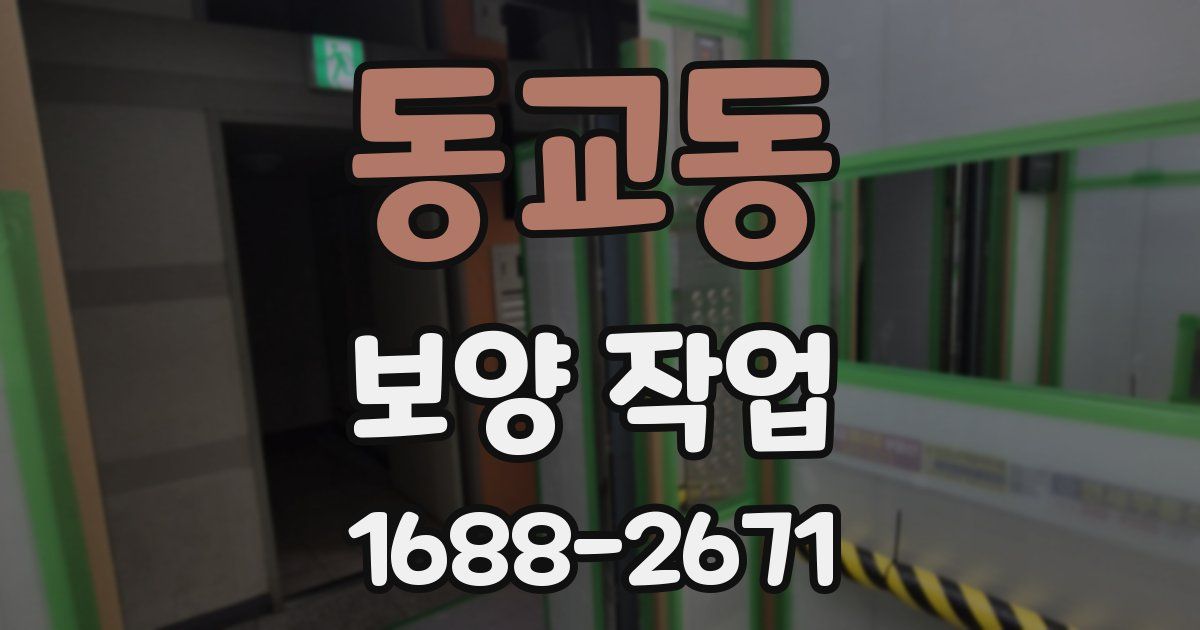 동교동 보양 작업