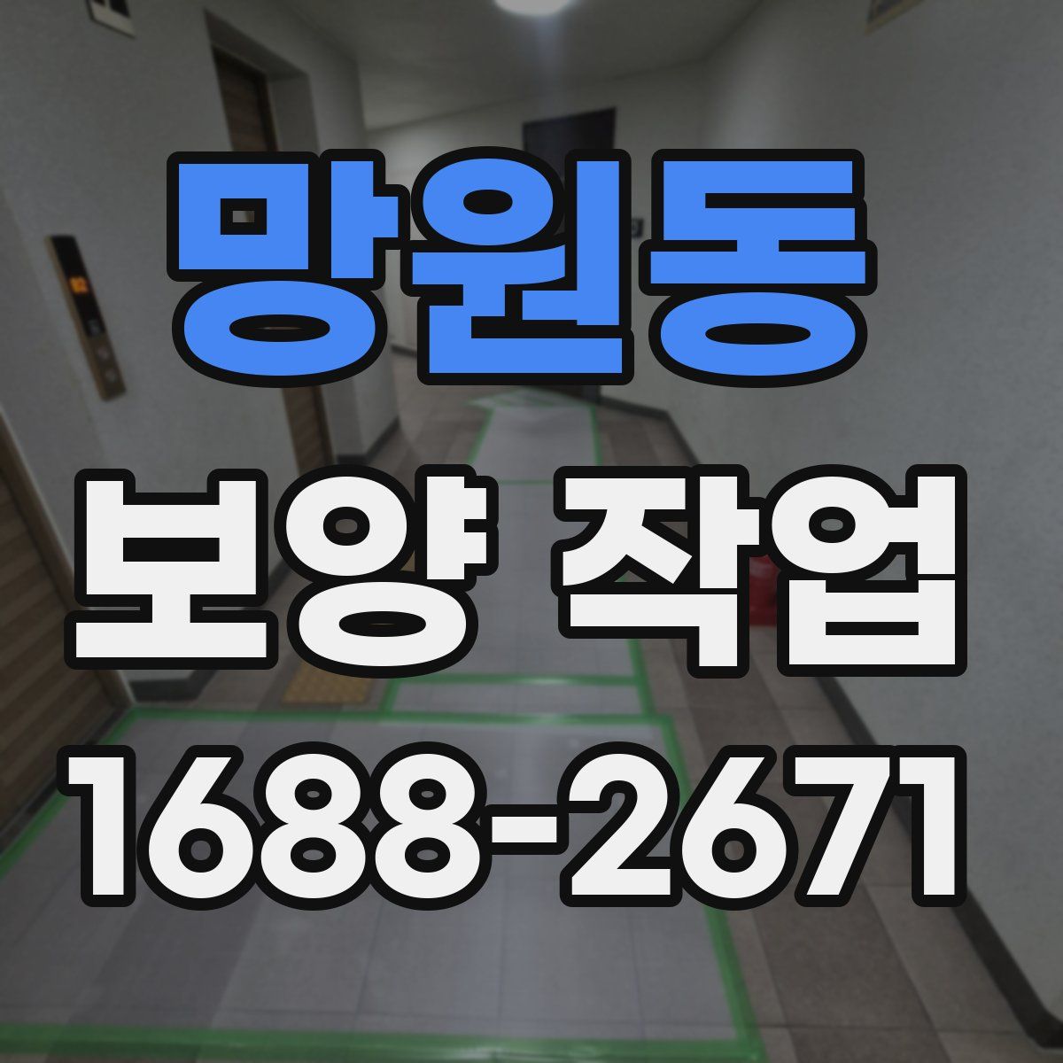 망원동 보양 작업