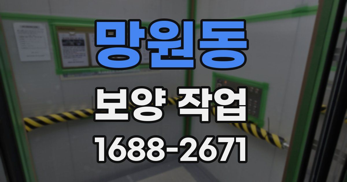 망원동 보양 작업