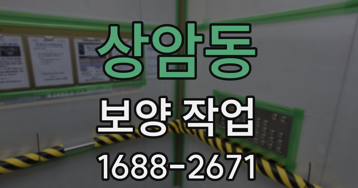 상암동 보양 작업