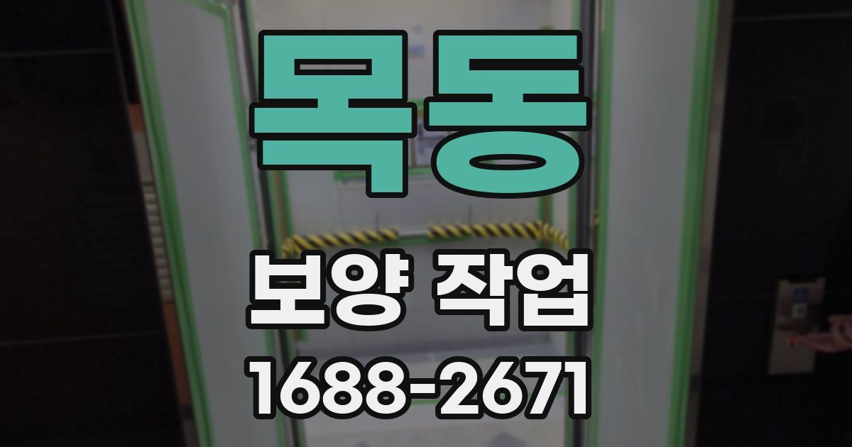 목동 보양 작업