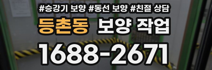 등촌동 보양 작업