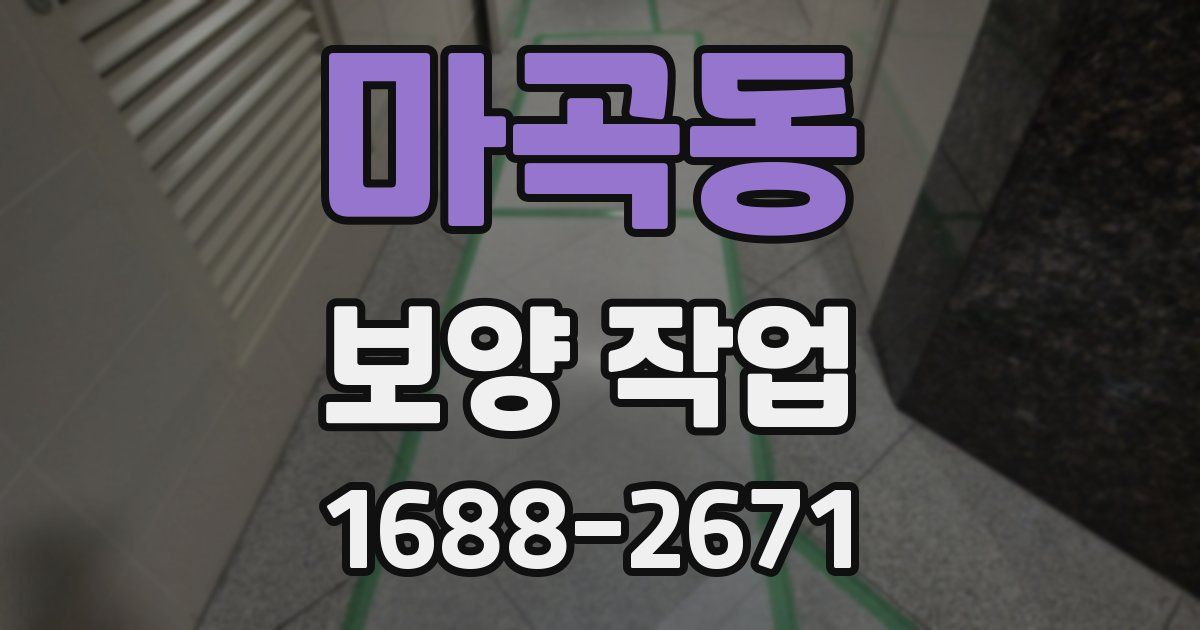 마곡동 보양 작업