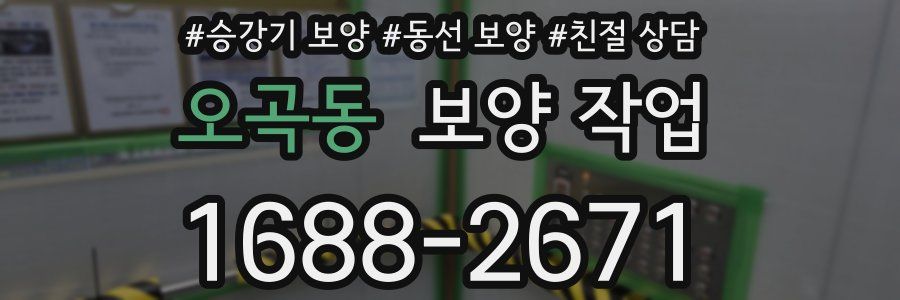 오곡동 보양 작업