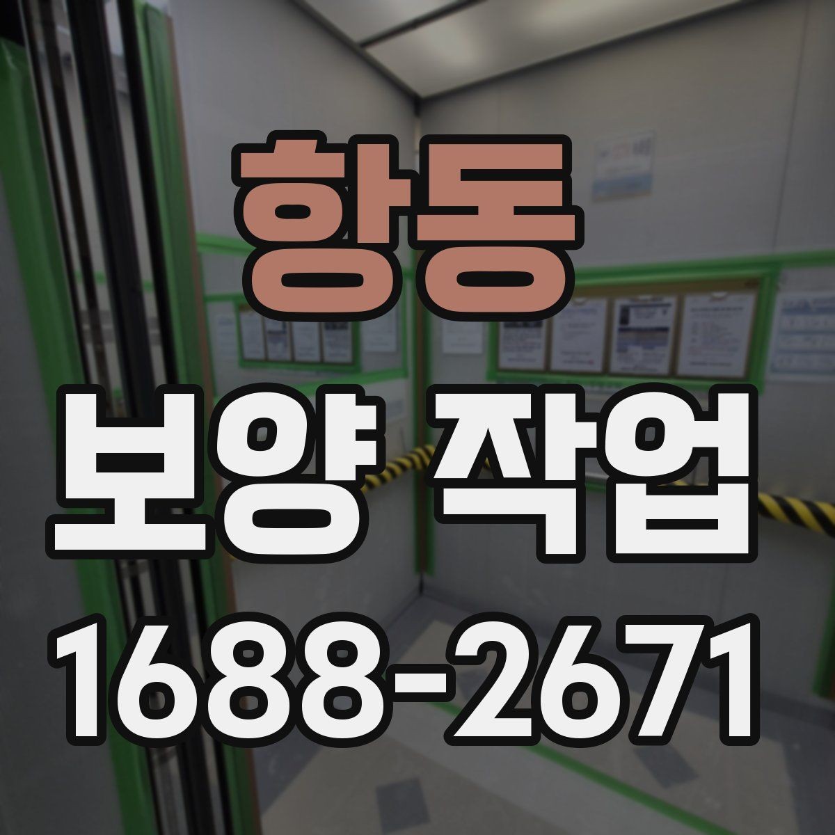 항동 보양 작업 진행 방식과 주의사항