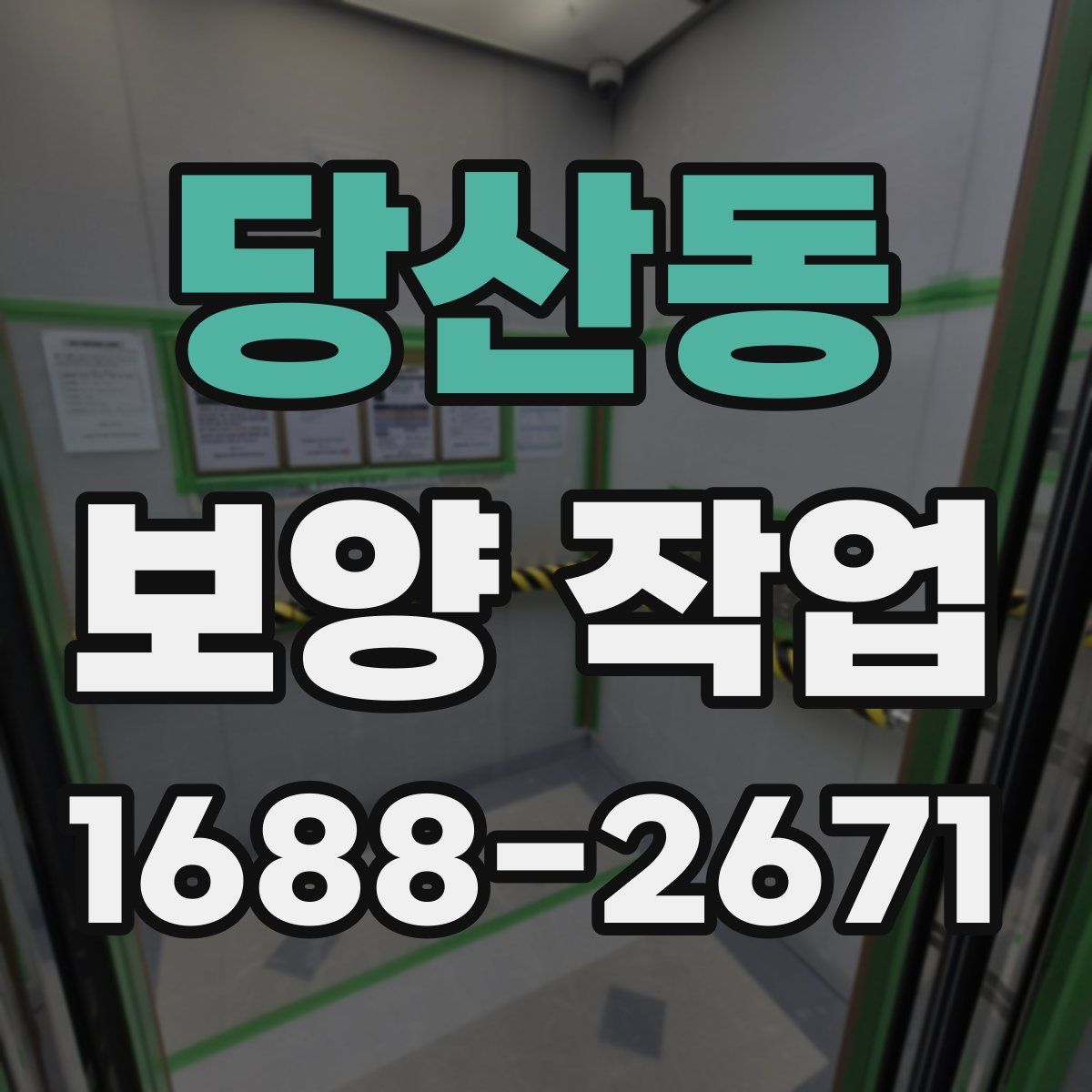 당산동 보양 작업
