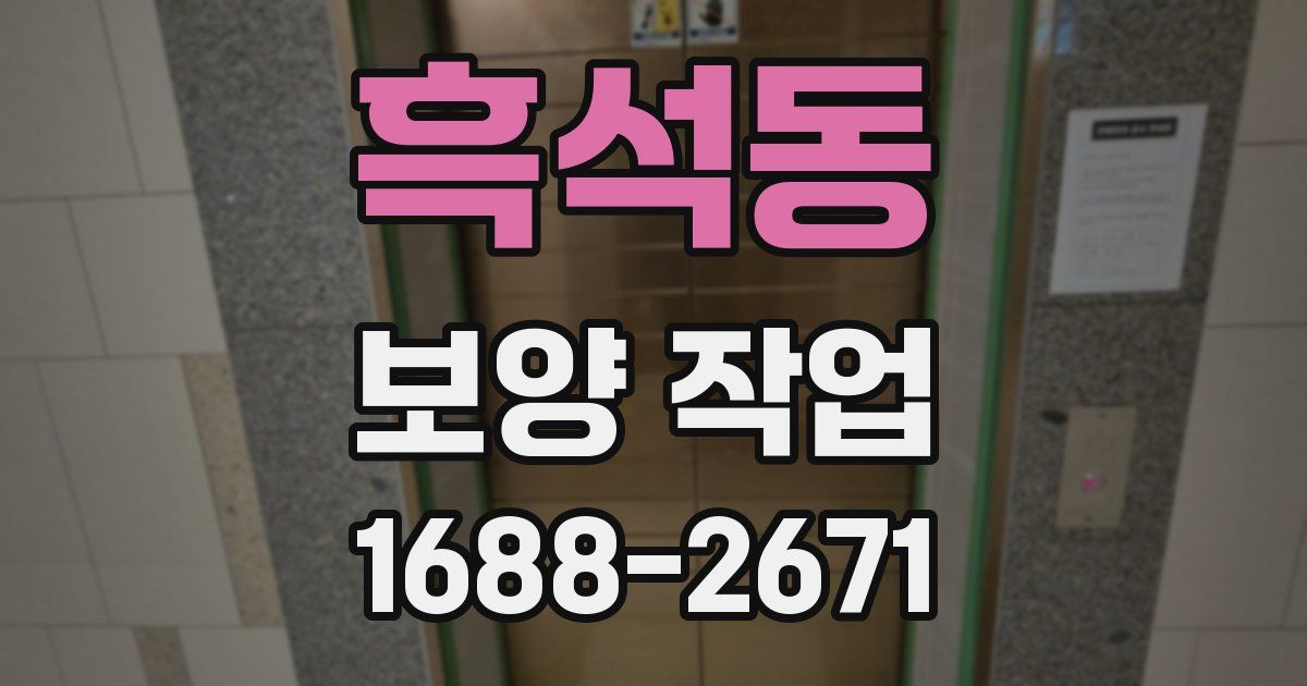 흑석동 보양 작업