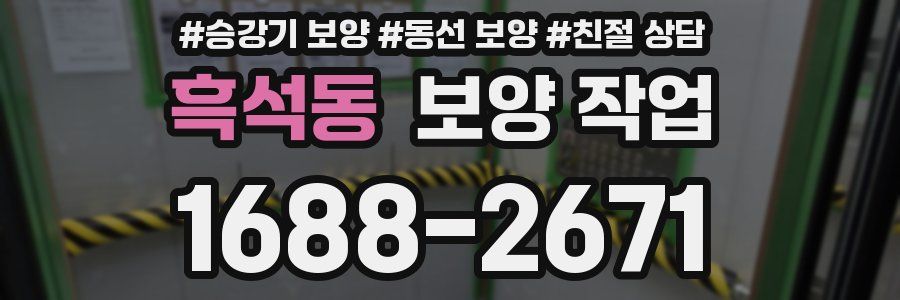 흑석동 보양 작업