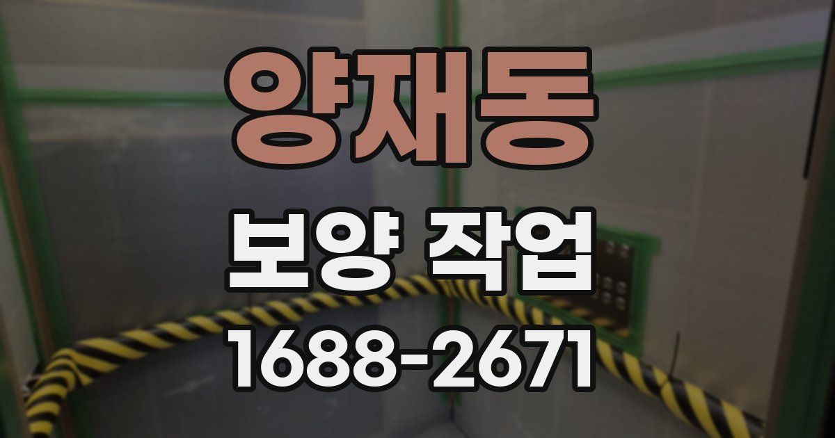 양재동 보양 작업
