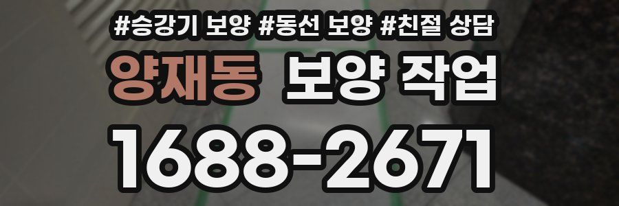 양재동 보양 작업