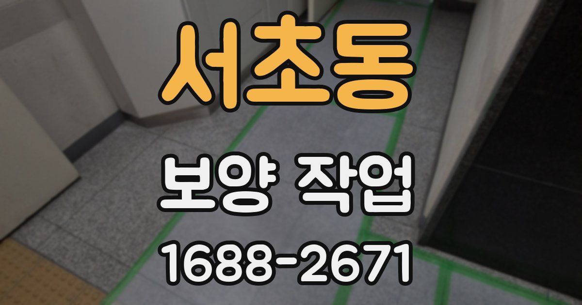 서초동 보양 작업