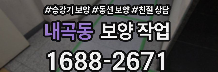 내곡동 보양 작업