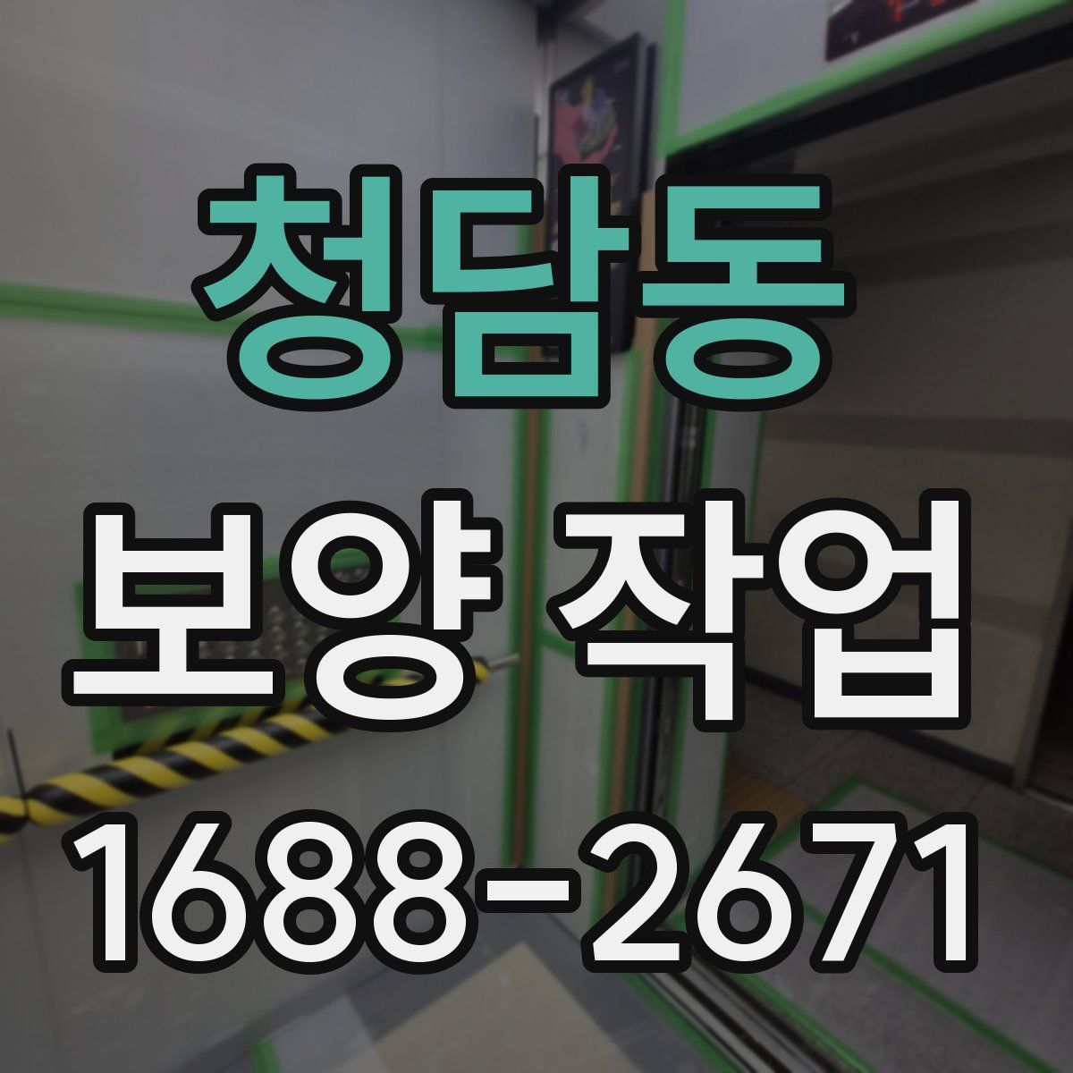청담동 보양 작업