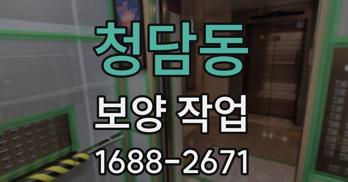청담동 보양 작업