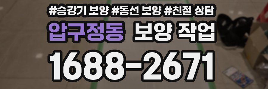 압구정동 보양 작업