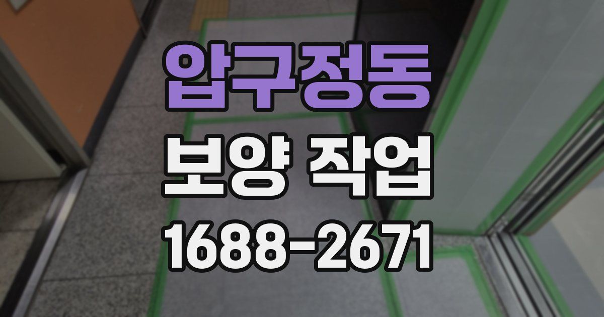 압구정동 보양 작업
