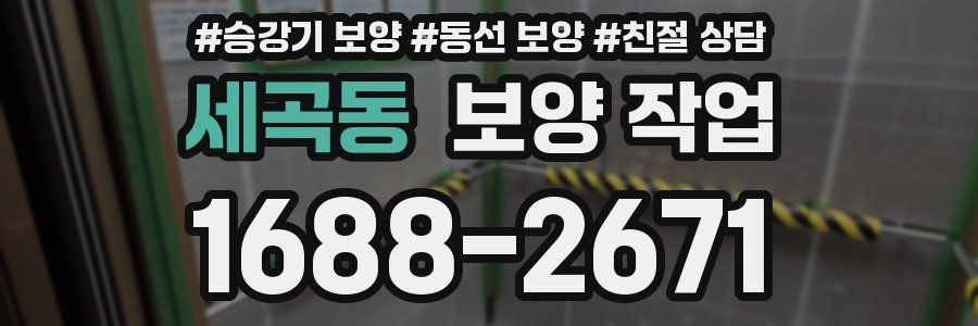 세곡동 보양 작업
