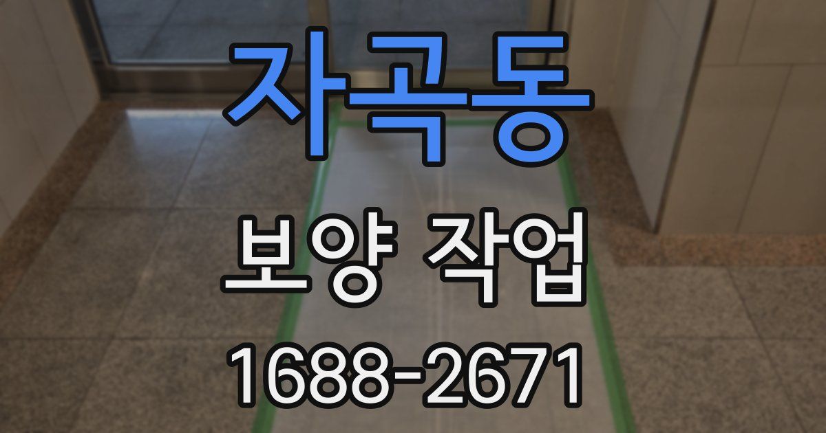 자곡동 보양 작업