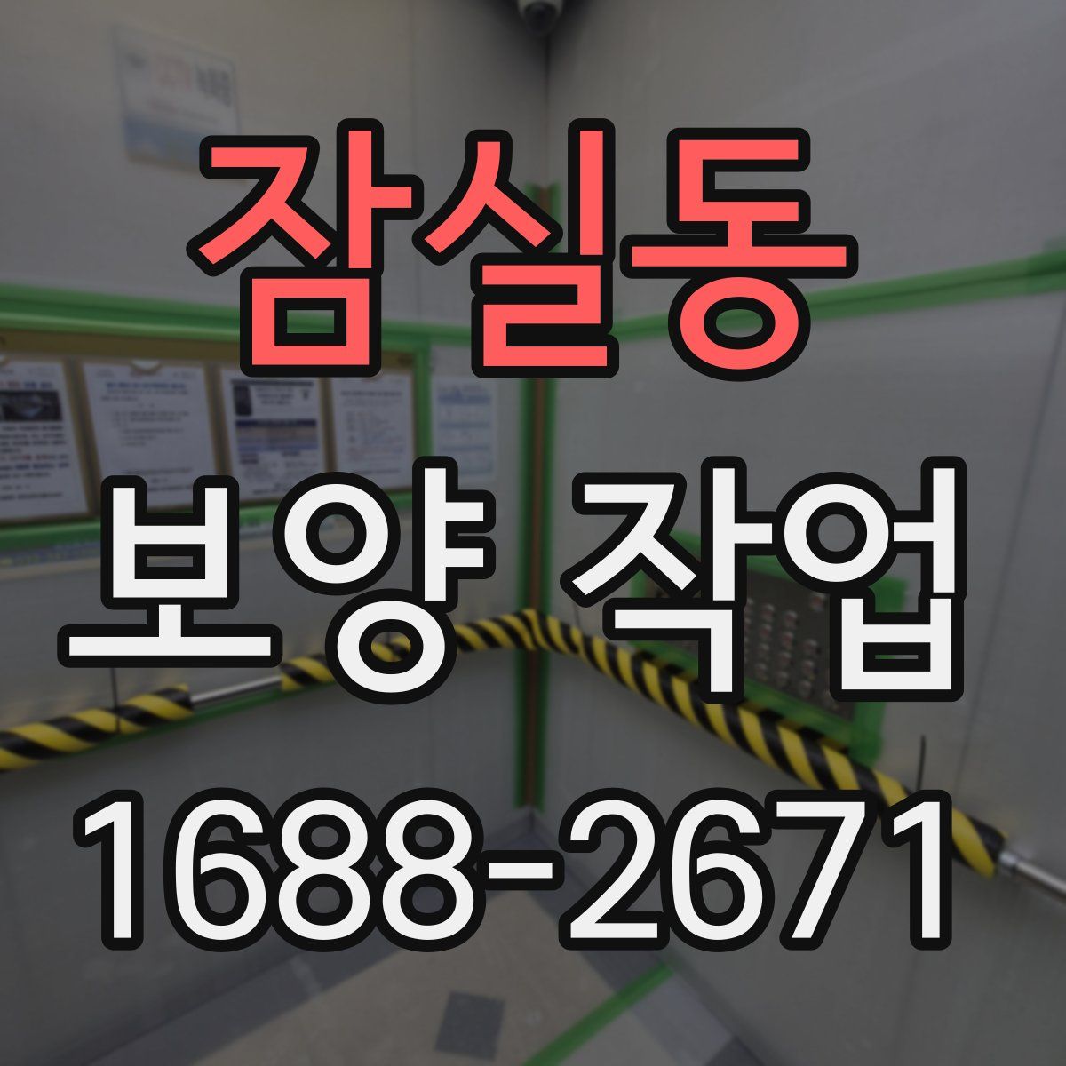 잠실동 보양 작업
