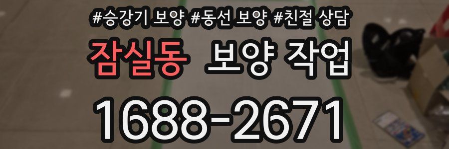 잠실동 보양 작업
