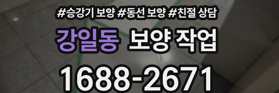 강일동 보양 작업