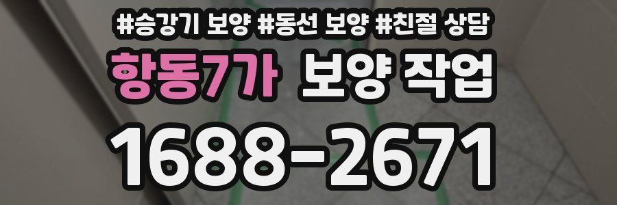 항동7가 보양 작업