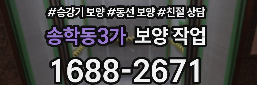 송학동3가 보양 작업