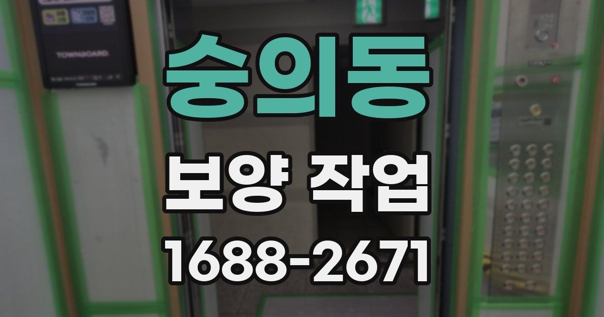 숭의동 보양 작업