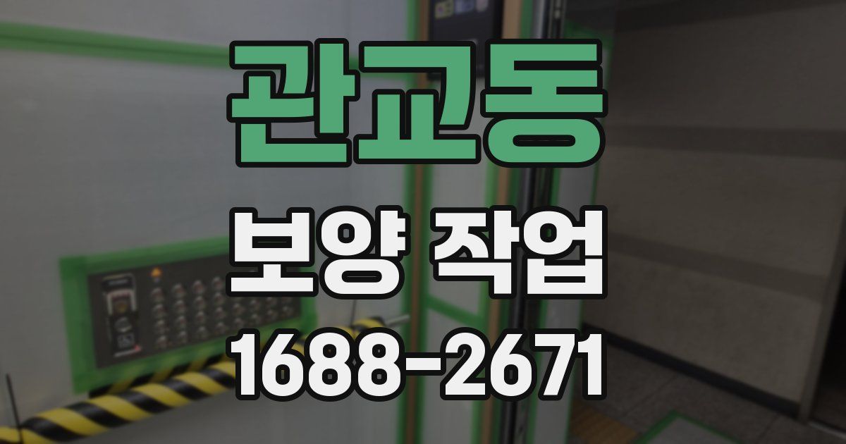 관교동 보양 작업