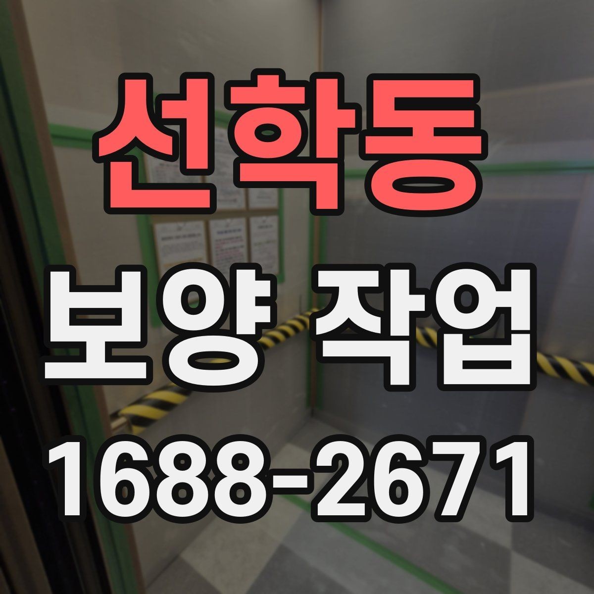 선학동 보양 작업 시공 사례로 보는 핵심 포인트