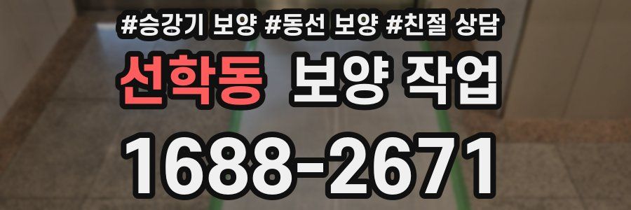 선학동 보양 작업