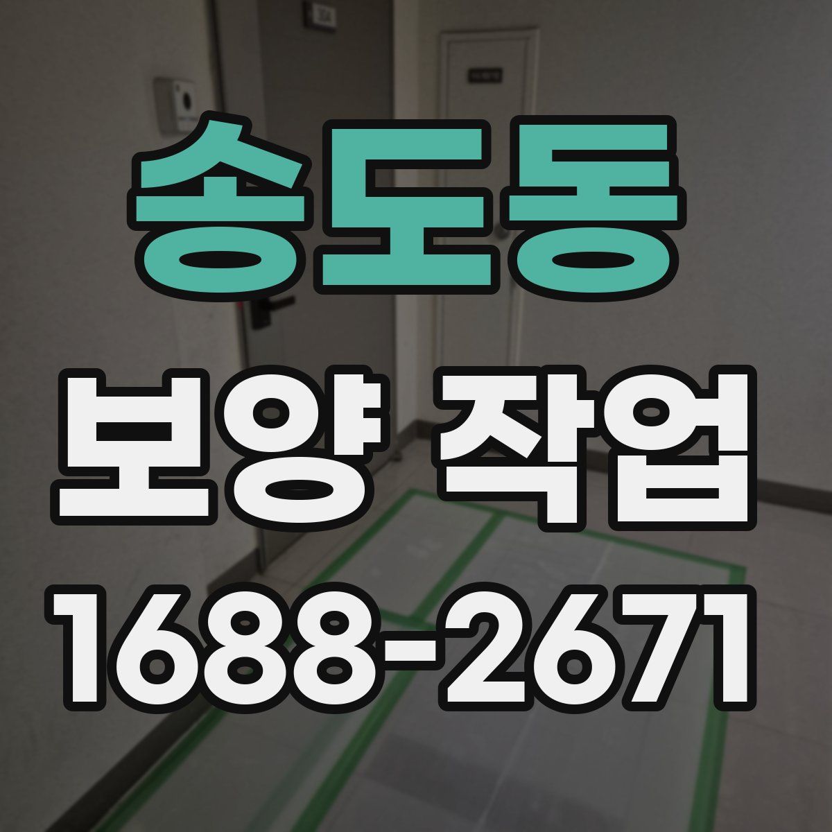 송도동 보양 작업