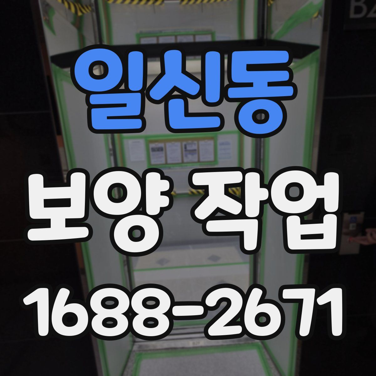 일신동 보양 작업