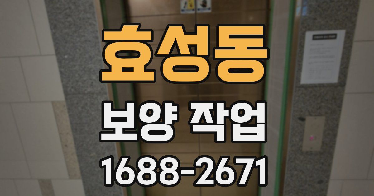 효성동 보양 작업