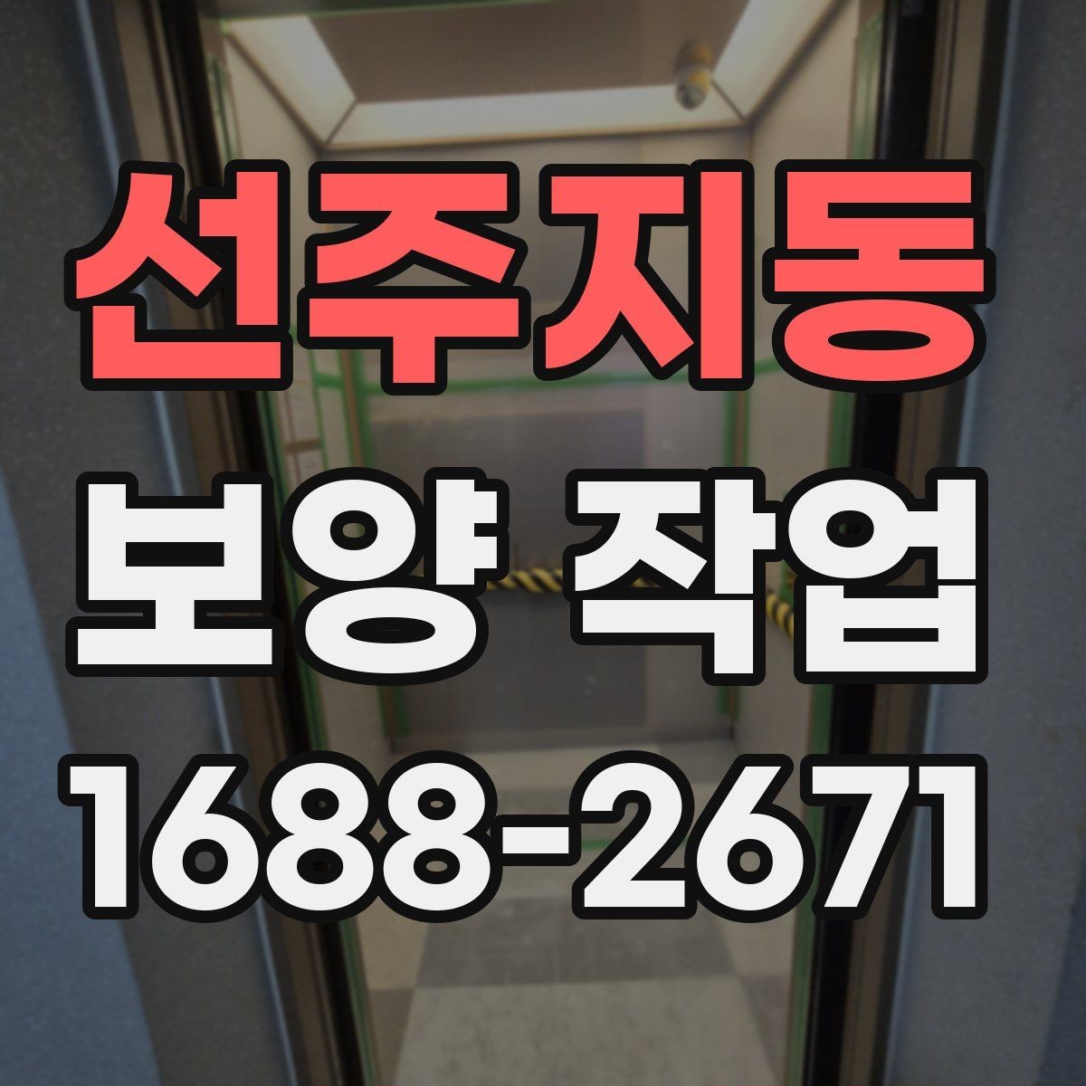 선주지동 보양 작업 전후로 달라지는 관리 포인트