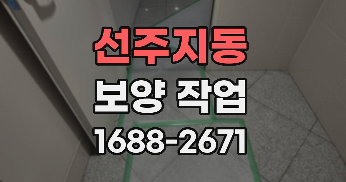 선주지동 보양 작업