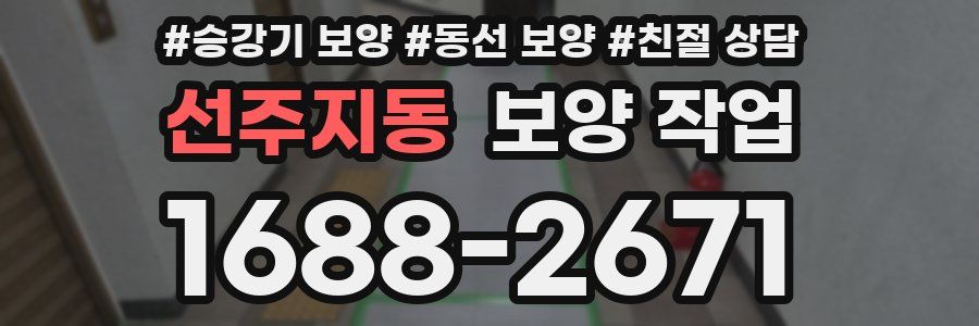 선주지동 보양 작업