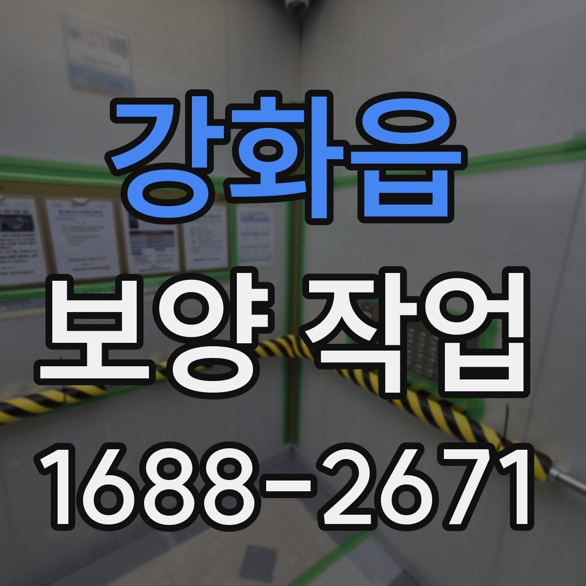 강화읍 보양 작업