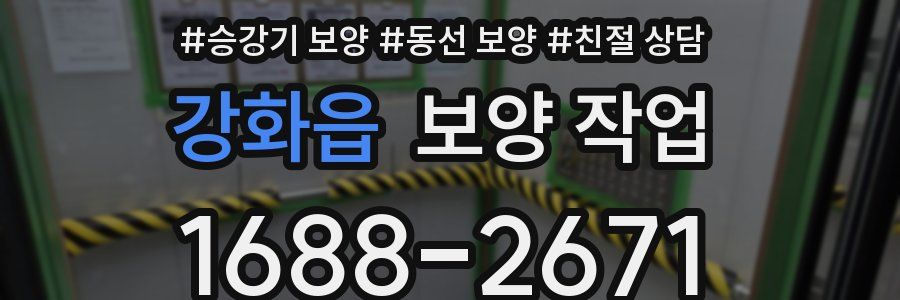 강화읍 보양 작업