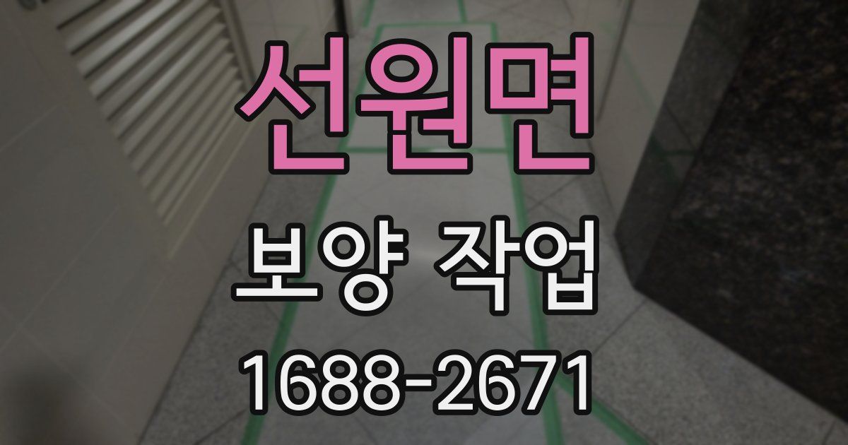 선원면 보양 작업