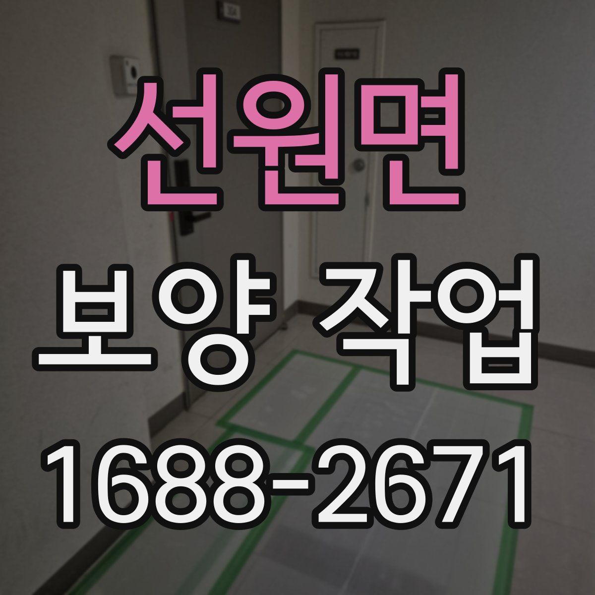 선원면 보양 작업
