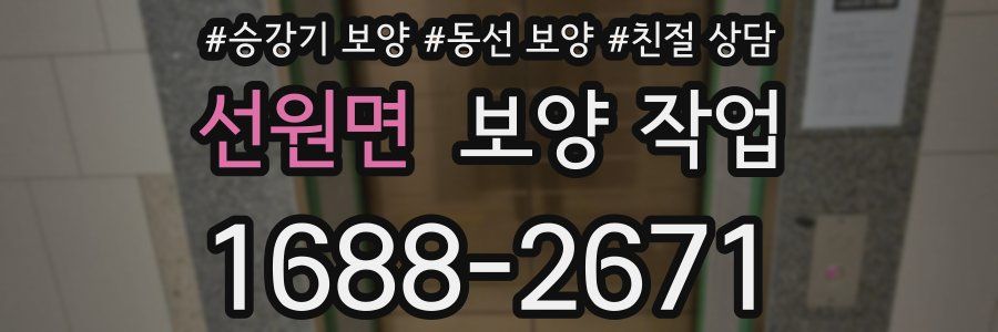선원면 보양 작업