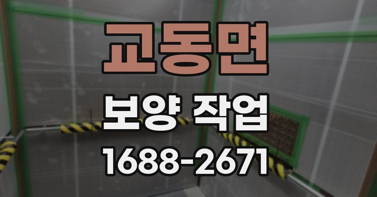 교동면 보양 작업
