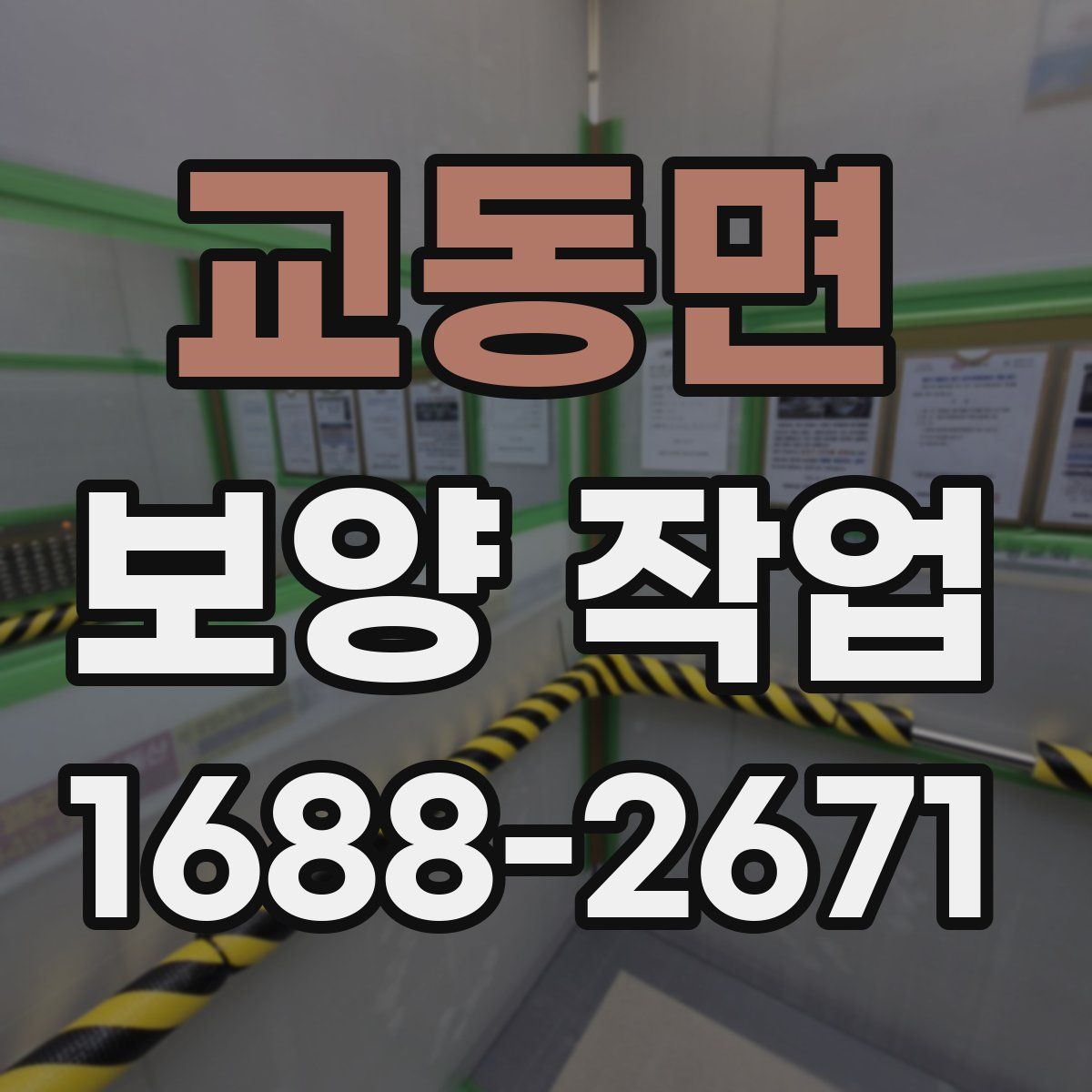 교동면 보양 작업