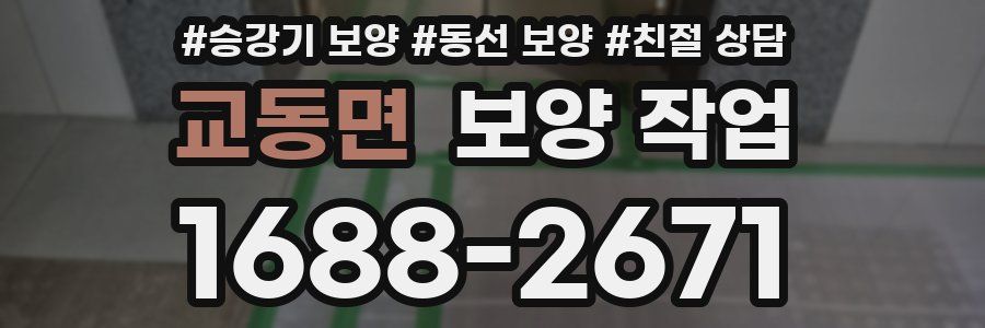 교동면 보양 작업